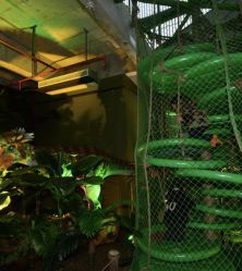 -恐龙探索乐园(磁器口店)