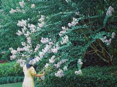 -杭州城北体育公园