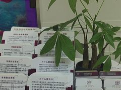 -雅悦齿科(顾村公园店)