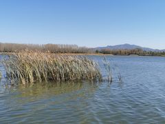 -野鸭湖国家湿地公园