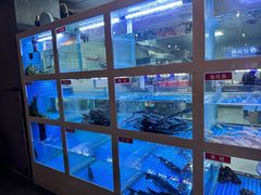 -石锅苗苗鱼(武汉首店)
