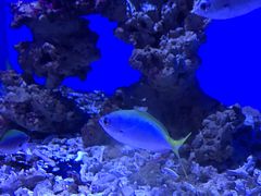 -海合安青岛极地海洋公园