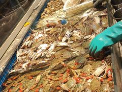 -一方渔歌蒸汽海鲜自助(文化路万达广场店)