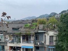 -南山植物园