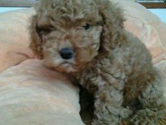 android_upload_pic-唯歌量贩式KTV(万豪城市广场店)