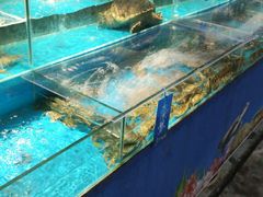 水产区-学府海鲜批发市场