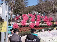 -东部华侨城