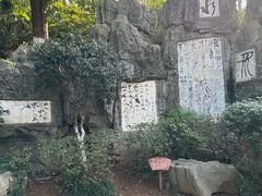 -白沙古井