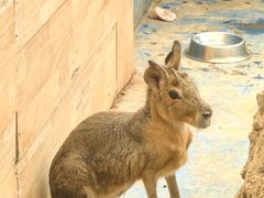 -巧克力渔家.小船海鲜家常菜(万平口店)