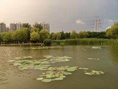 -太阳宫公园