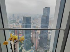 -南宁那莲豪华精选酒店-云霄酒廊·80楼高空城景酒吧