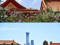 -故宫博物院(故宫)