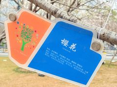 -西北湖绿化广场