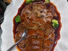 -丁老爷子苏香圆