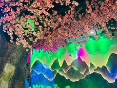 -韵秋荷(宝山龙湖天街店)