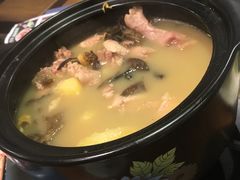 -谷朴东北菜