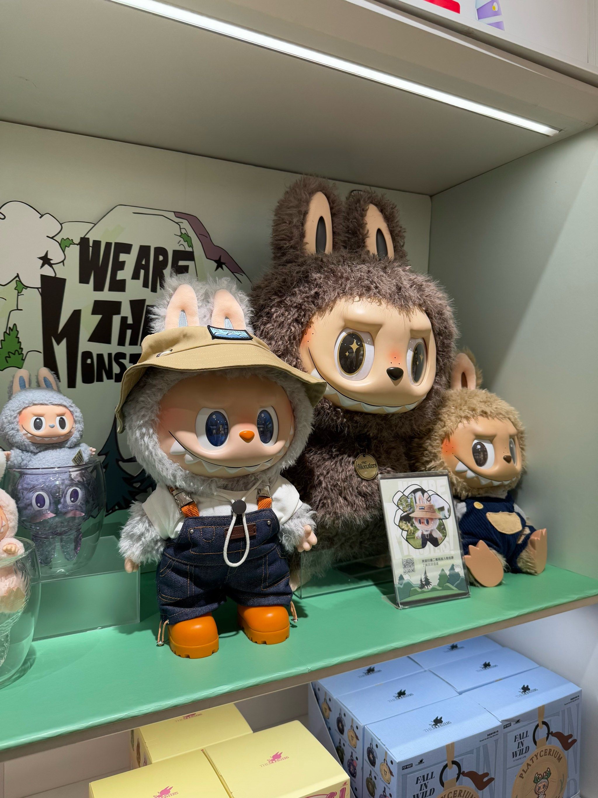 彩神vll“马上”看花！2026广州花市全攻略11区逛玩一键通关！