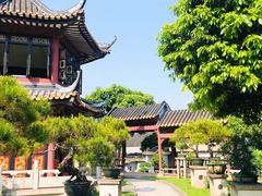 -碧江金楼