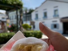 -澳门长洲糯米糍(柯打苏沙街店)