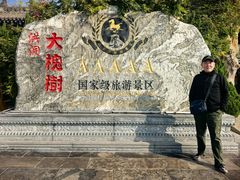 -大槐树寻根祭祖园