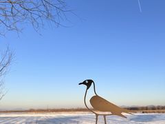 -野鸭湖国家湿地公园