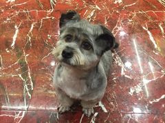 -多卡布奇宠物生活馆(上林世家店)