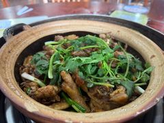 -华仔土鸡店(南洲分店)