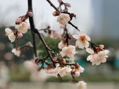 -白塘生态植物园