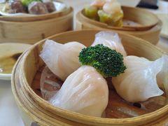 -星湖愉景酒家