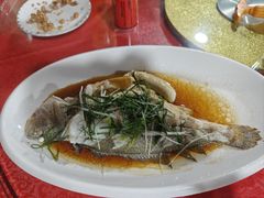 -罗源湾8号渔排