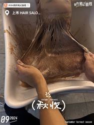 -上禾 HAIR SALON
