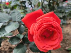 -人民公园(罗湖区)