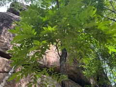 -汤旺河林海奇石景区