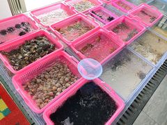 -众味海鲜大排档·活海鲜·潮汕味(南澳店)