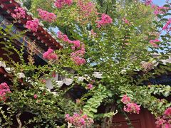 -蓬莱阁景区