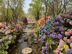 -沂蒙云瀑洞天景区