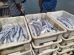 -青岛沙子口国家中心渔港