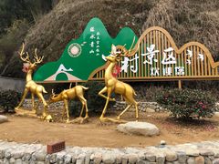 -鹿亭中村