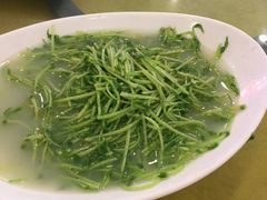 上汤豆苗-鸿达渔港