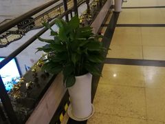 -大光明电影院(南京西路店)