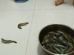 -岳各庄批发市场(西四环中路店)
