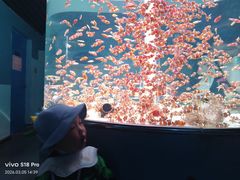 -海合安成都极地海洋公园