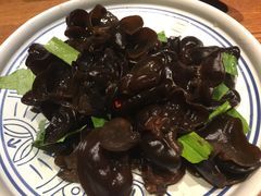 黑木耳-云海肴·汽锅鸡·云南菜(天山百盛优客店)