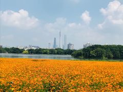 -海珠湖公园