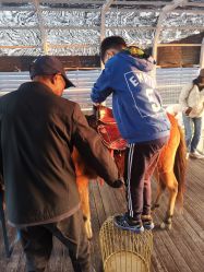 -小蜜蜂农场(凯德七宝购物广场店)