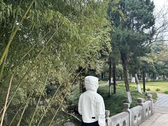 -水绘园