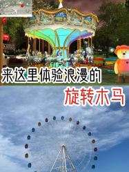 -大美儿童世界(奥林匹克水上公园店)