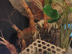 -福禧荟·海鲜自助