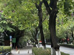 -Au Cafe&Roastery(华侨城店)