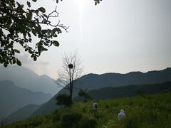 -蓝田印象